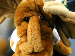 wrinkles moose puppet 2 face